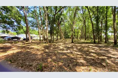 25050 Algonquin Avenue, Mount Plymouth, FL 32776 - Photo 8