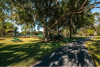 520 Sandy Hook Road, Palm Harbor, FL 34683 - Photo 74