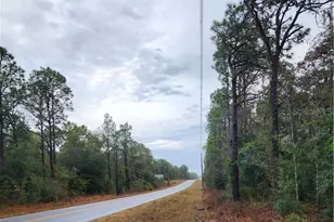 7360 W Dunnellon Rd, Dunnellon, FL 34433 - Photo 1
