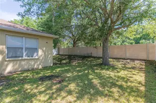 11334 Bridge Pine Dr, Riverview, FL 33569 - Photo 40