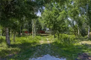 42655 State Road 64 E, Myakka City, FL 34251 - Photo 14
