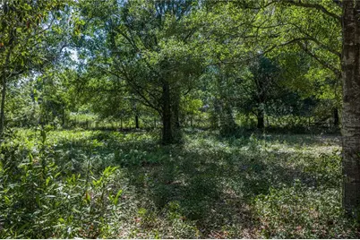 42655 State Road 64 E, Myakka City, FL 34251 - Photo 16