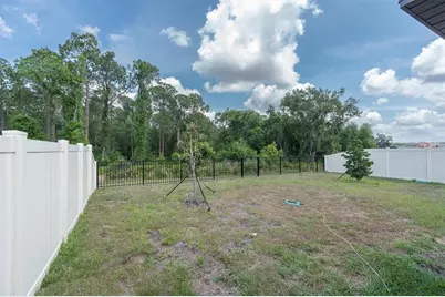 10155 Gentle Rain Drive, Land O Lakes, FL 34638 - Photo 24