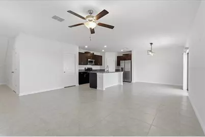 5224 White Chicory Drive, Apollo Beach, FL 33572 - Photo 4