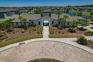 5224 White Chicory Dr, Apollo Beach, FL 33572 - Photo 60