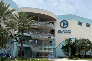 255 Dolphin Point, Clearwater Beach, FL 33767 - Photo 34