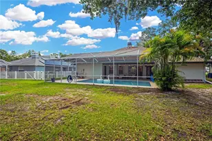 4617 Basswood St, Land O Lakes, FL 34639 - Photo 62