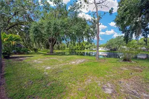 4617 Basswood St, Land O Lakes, FL 34639 - Photo 64