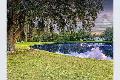 4617 Basswood Street, Land O Lakes, FL 34639 - Photo 4
