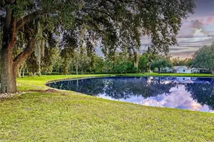 4617 Basswood St, Land O Lakes, FL 34639 - Photo 4