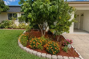 2588 Forest Run Ct, Clearwater, FL 33761 - Photo 78