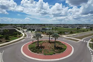 13521 Palmera Vista Dr, Riverview, FL 33579 - Photo 56