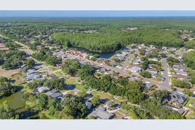 3446 Tarpon Woods Boulevard, Palm Harbor, FL 34685 - Photo 36