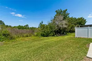 4329 Ashton Meadows Way, Wesley Chapel, FL 33543 - Photo 38