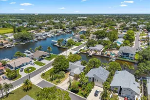 344 Crosswinds Dr, Palm Harbor, FL 34683 - Photo 50