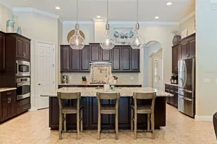20214 Oak Thorn Way, Tampa, FL 33647 - Photo 6