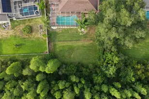 5306 Reflections Blvd, Lutz, FL 33558 - Photo 56