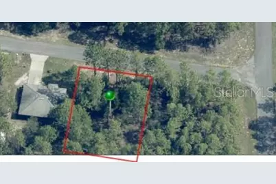 1204 W Fan Drive, Citrus Springs, FL 34434 - Photo 4