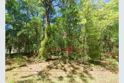 2581 W Pharaoh Court, Lecanto, FL 34461 - Photo 4
