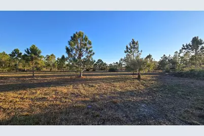 17718 NW 266th Street, Okeechobee, FL 34972 - Photo 6