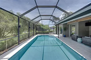 6105 Audubon Manor Blvd, Lithia, FL 33547 - Photo 66