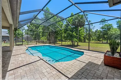 8224 Spring Forest Lane, Wesley Chapel, FL 33544 - Photo 30
