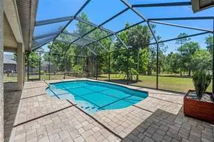 8224 Spring Forest Ln, Wesley Chapel, FL 33544 - Photo 30