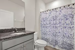 11934 Cross Vine Dr, Riverview, FL 33579 - Photo 28