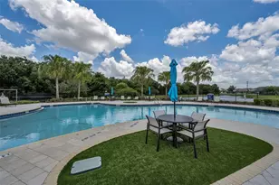 10520 Alcon Blue Dr, Riverview, FL 33578 - Photo 84