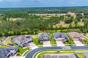 2905 Hilliard Dr, Wesley Chapel, FL 33543 - Photo 86