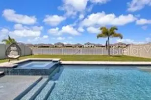 16747 Sunburst Lake St, Wimauma, FL 33598 - Photo 1