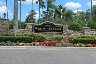 12730 Tar Flower Dr, Tampa, FL 33626 - Photo 48