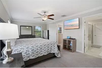 28580 Tranquil Lake Circle, Wesley Chapel, FL 33543 - Photo 22
