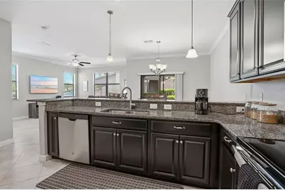 28580 Tranquil Lake Circle, Wesley Chapel, FL 33543 - Photo 12