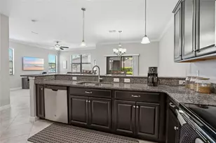28580 Tranquil Lake Cir, Wesley Chapel, FL 33543 - Photo 12
