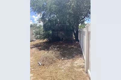 3909 W Palmetto Street, Tampa, FL 33607 - Photo 14