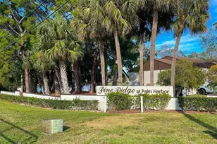 2523 Pine Ridge Way S, Palm Harbor, FL 34684 - Photo 26