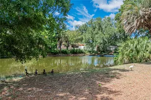 750 Grand Cypress Ln, Tarpon Springs, FL 34689 - Photo 76