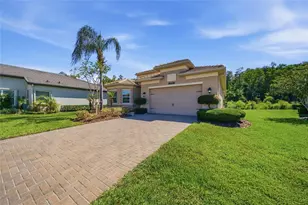 30852 Spruceberry Ct, Wesley Chapel, FL 33543 - Photo 6