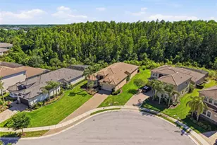 30852 Spruceberry Ct, Wesley Chapel, FL 33543 - Photo 44