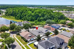 10024 Coldwater Loop, Land O Lakes, FL 34638 - Photo 32