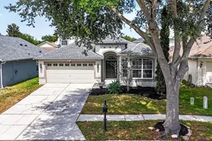 10024 Coldwater Loop, Land O Lakes, FL 34638 - Photo 26