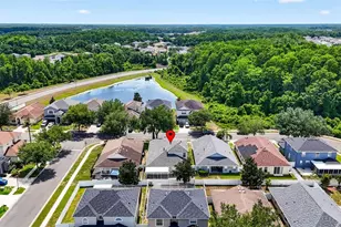 10024 Coldwater Loop, Land O Lakes, FL 34638 - Photo 32