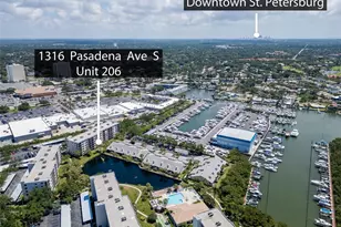 1316 Pasadena Ave S, South Pasadena, FL 33707 - Photo 36