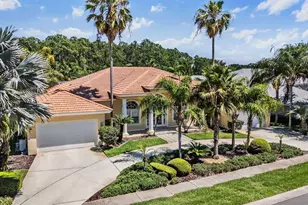 4561 Roanoak Way, Palm Harbor, FL 34685 - Photo 56