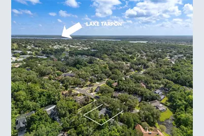 344 Cascade Lane, Palm Harbor, FL 34684 - Photo 74
