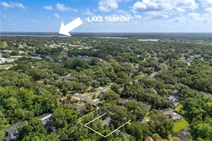 344 Cascade Ln, Palm Harbor, FL 34684 - Photo 74