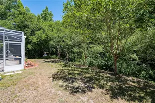 22754 Magnolia Trace Blvd, Lutz, FL 33549 - Photo 46