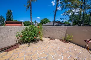 5003 Umber Way S, Tampa, FL 33624 - Photo 50