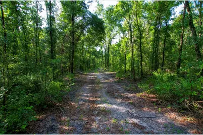 18233 185th Rd, Live Oak, FL 32060 - Photo 76